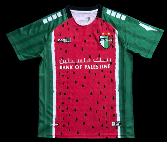 Camiseta especial de Palestina 25/26