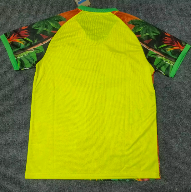 Camiseta especial de Brasil negra y amarilla 25/26