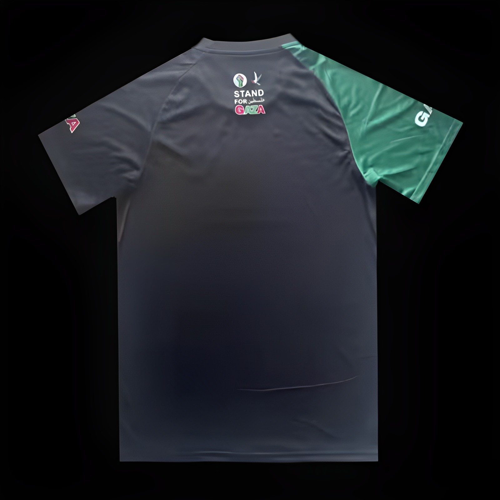 Camiseta de Palestina, edición "¡Apoya a Gaza!", 2023-2024