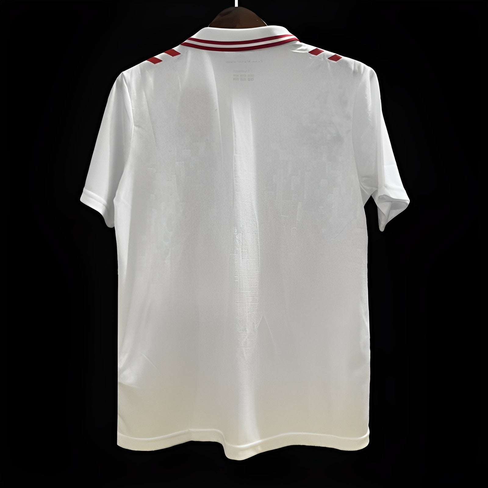 Dinamarca Camiseta blanca 24/25
