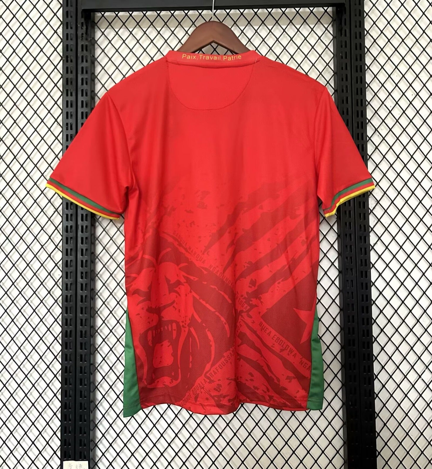 Camiseta especial de Camerún 25/26