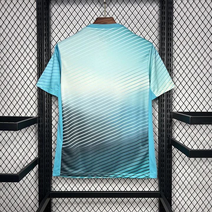Camiseta de entrenamiento de Corea del Sur para la temporada 24/25
