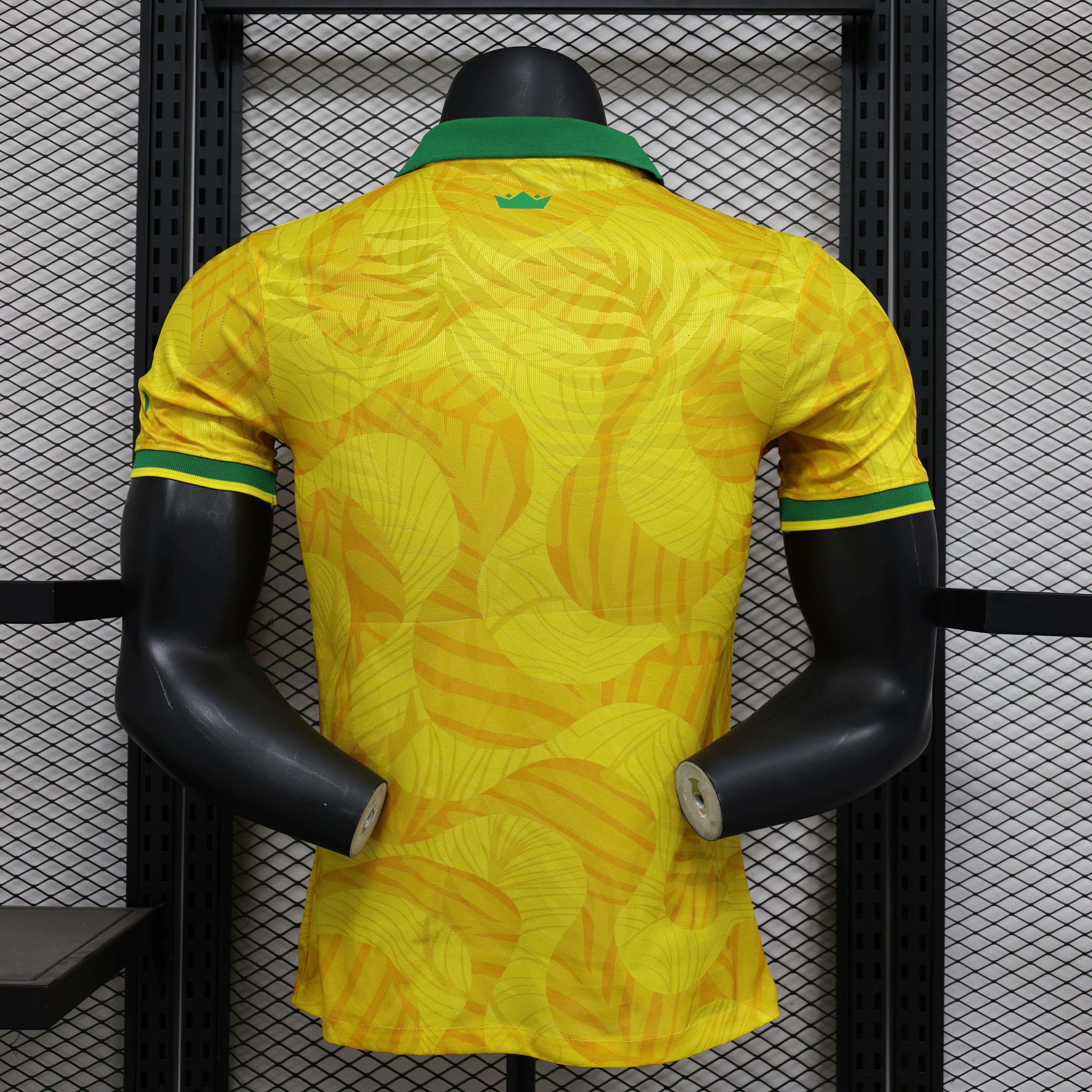 Camiseta especial de Brasil 24/25