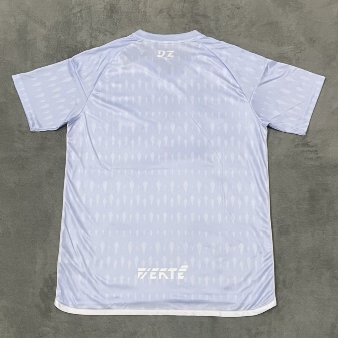 Camiseta azul especial de Argelia 25/26