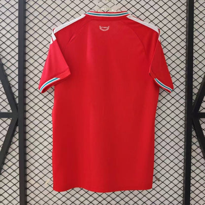 Camiseta de Gales para la temporada 25/26