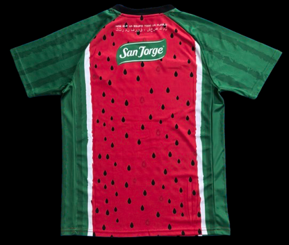 Camiseta especial de Palestina 25/26