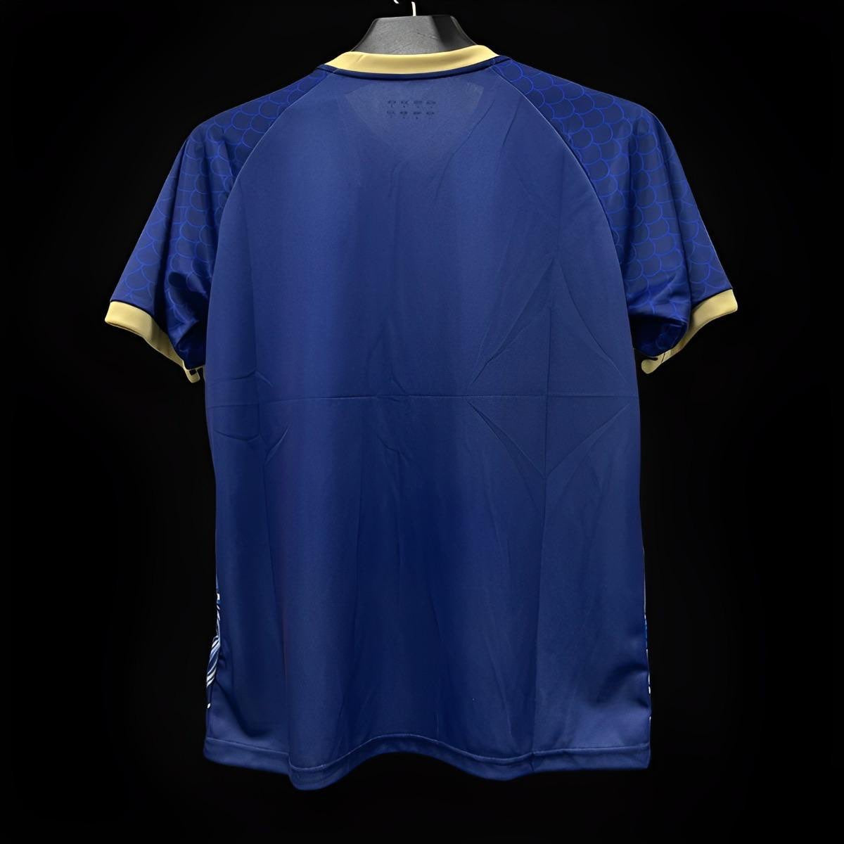 Camiseta de Japón Edición Limitada 2023-2024