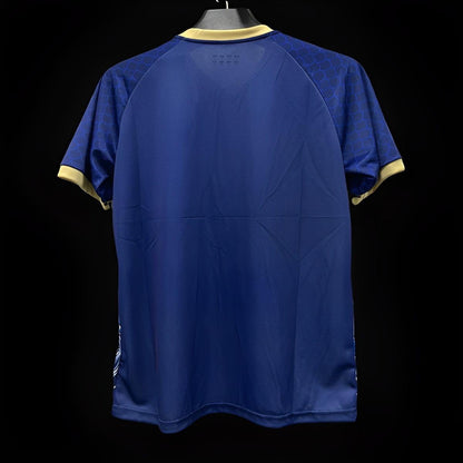 Camiseta de Japón Edición Limitada 2023-2024