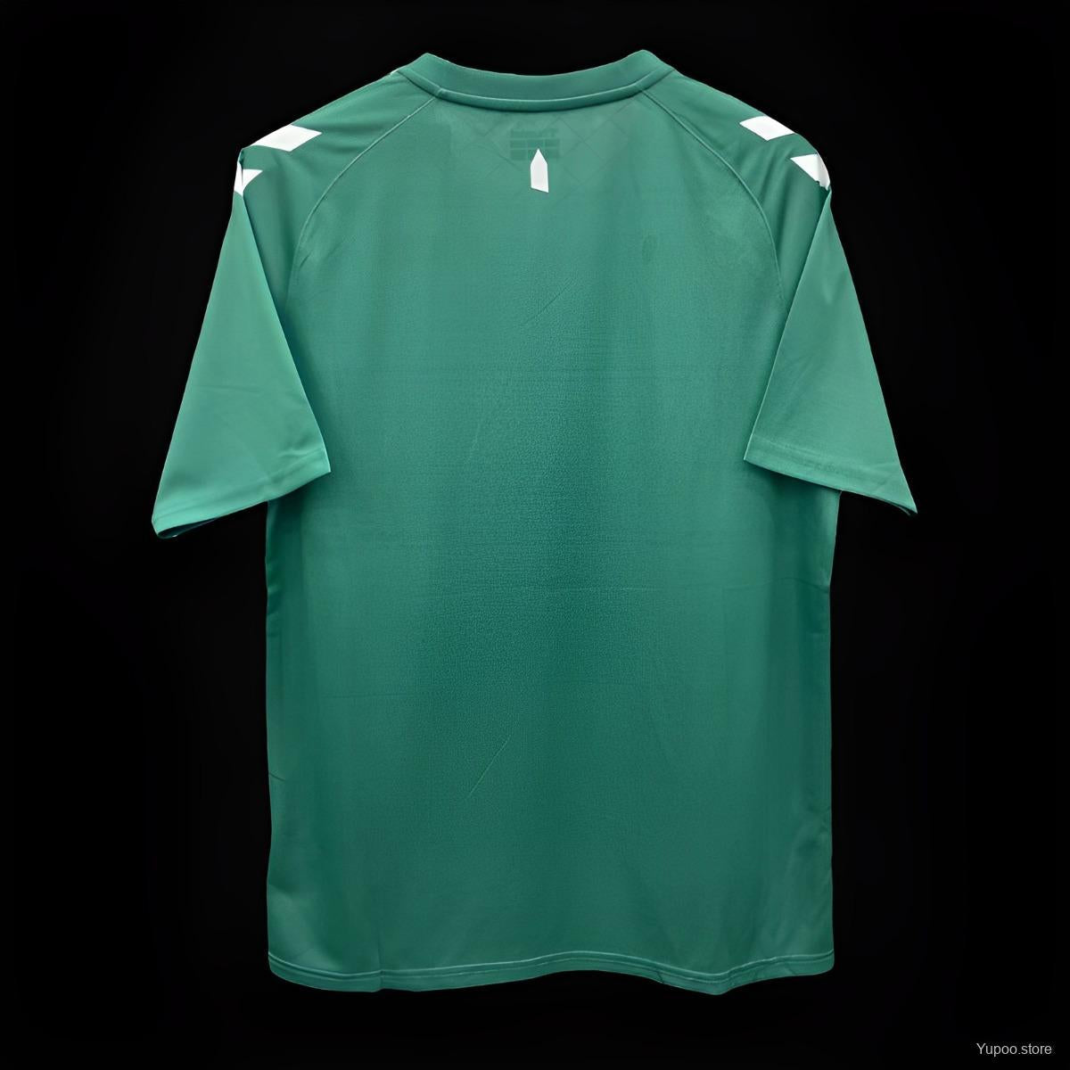 Camiseta verde edición especial Hummel del Everton 24/25