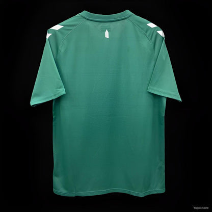 Camiseta verde edición especial Hummel del Everton 24/25