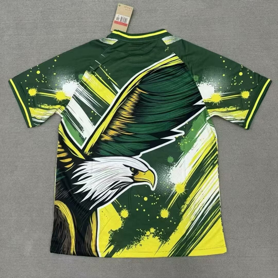 Camiseta especial de Brasil 24/25
