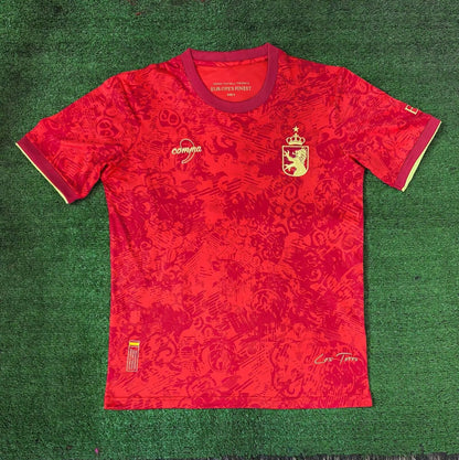 Camiseta especial de España 24/25