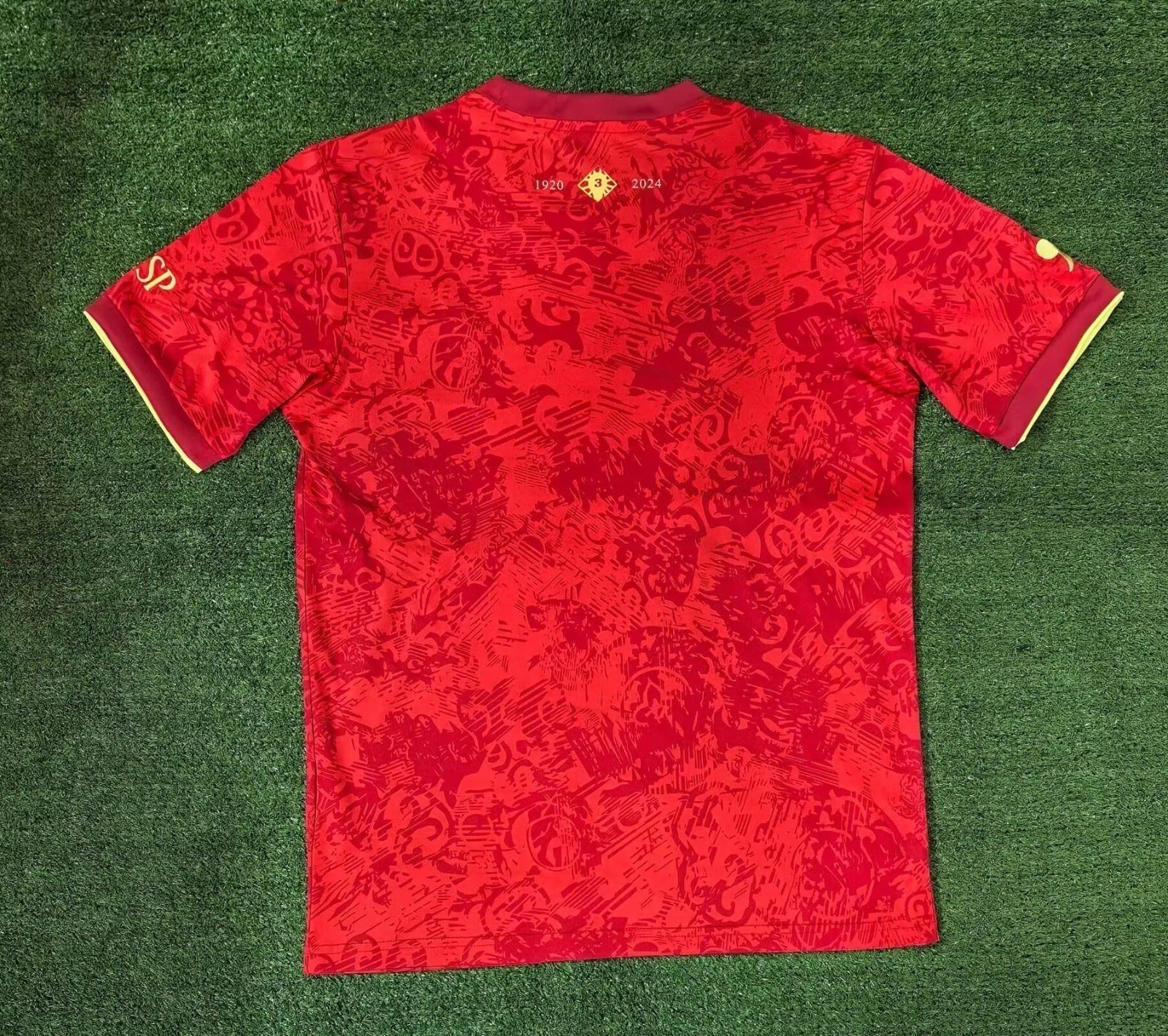 Camiseta especial de España 24/25
