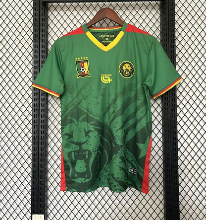 Camiseta especial de Camerún 25/26