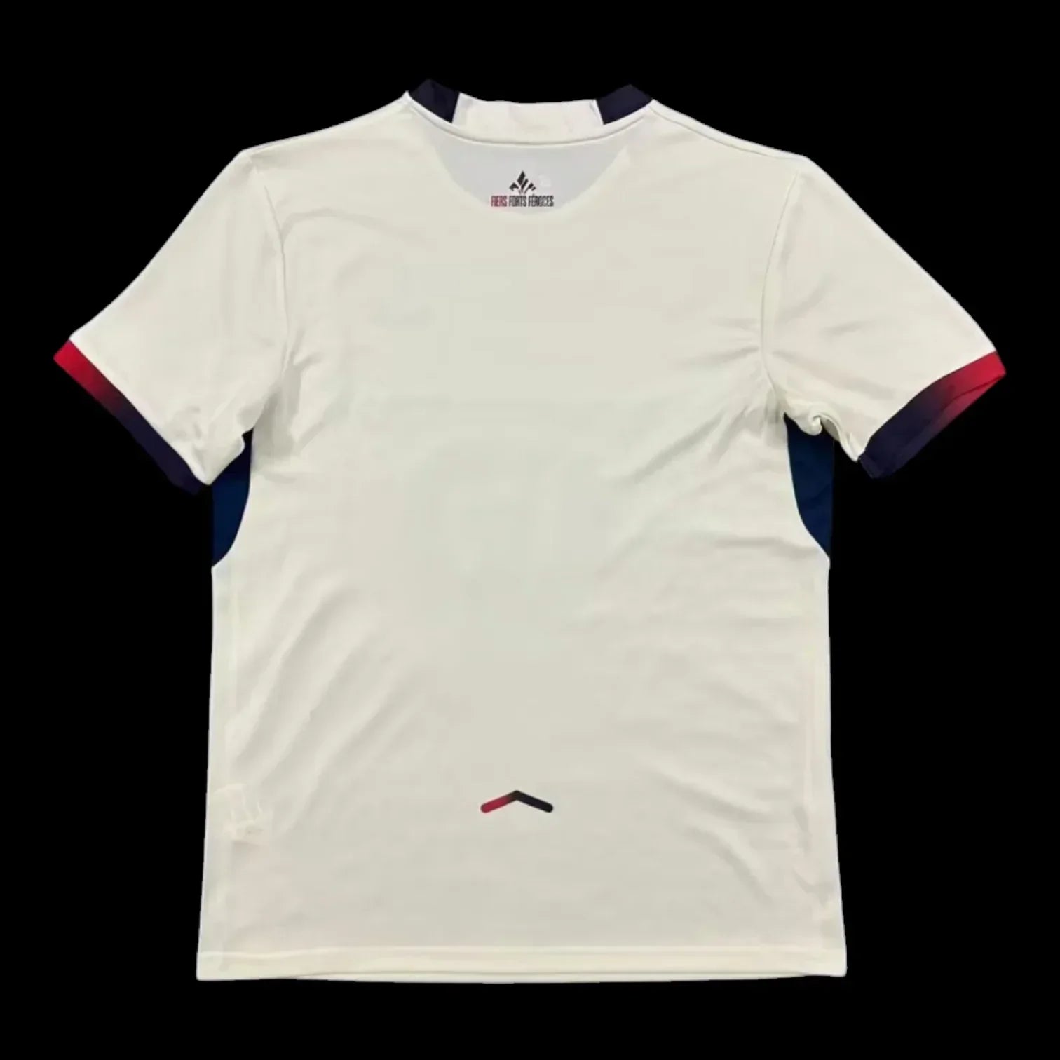Camiseta visitante del Lille 25/26