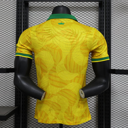 Camiseta especial de Brasil 24/25
