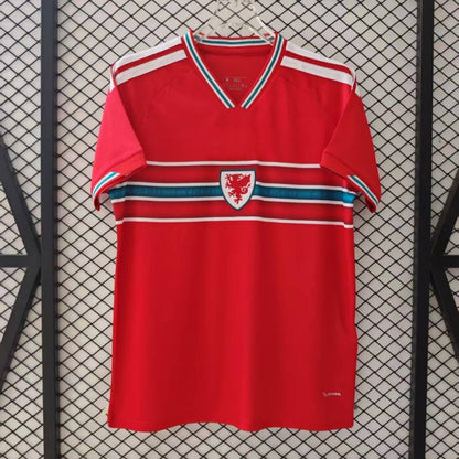 Camiseta de Gales para la temporada 25/26